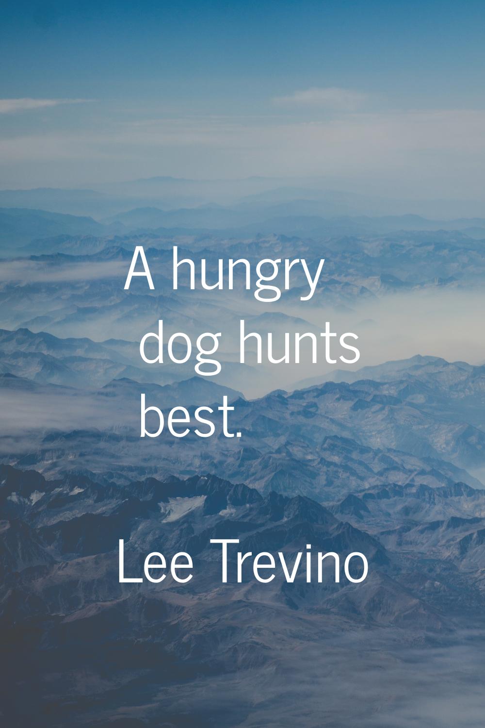 A hungry dog hunts best.
