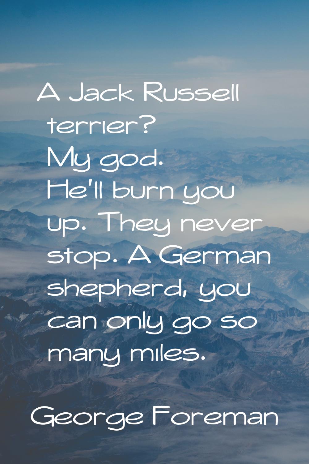 A Jack Russell terrier? My god. He'll burn you up. They never stop. A German shepherd, you can only