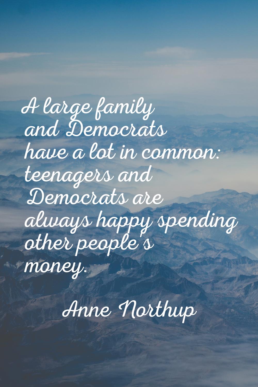 A large family and Democrats have a lot in common: teenagers and Democrats are always happy spendin