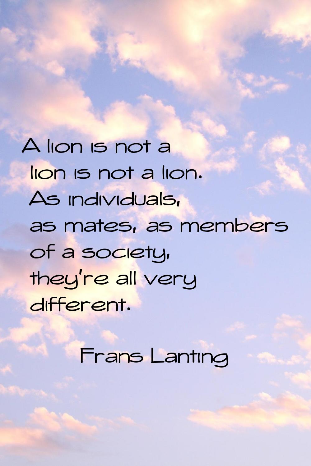 A lion is not a lion is not a lion. As individuals, as mates, as members of a society, they're all 