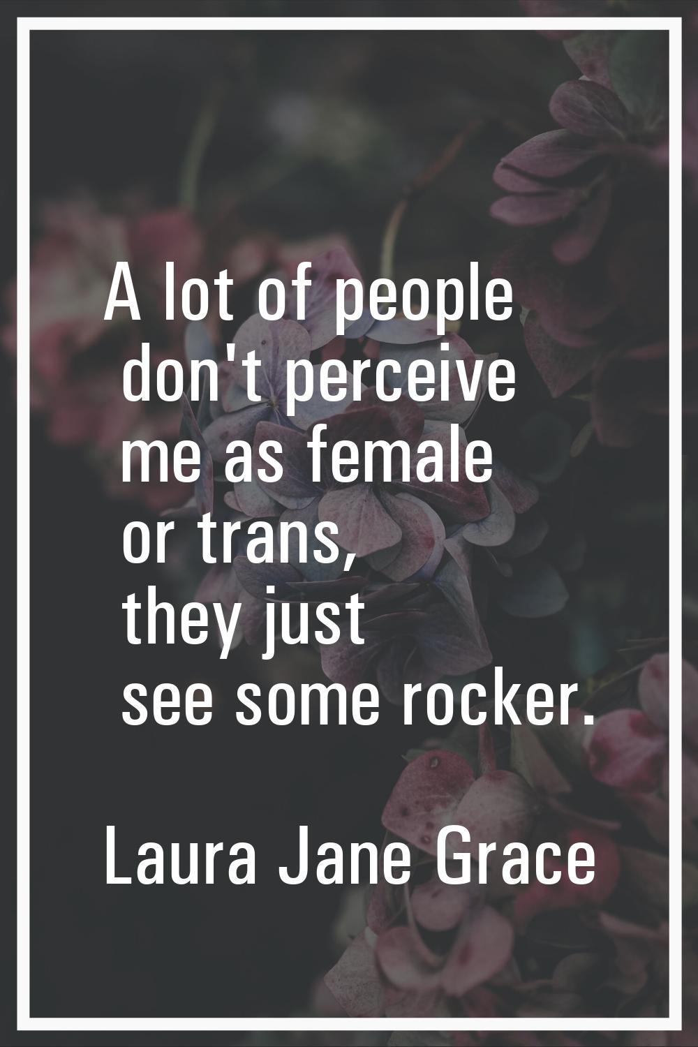 A lot of people don't perceive me as female or trans, they just see some rocker.