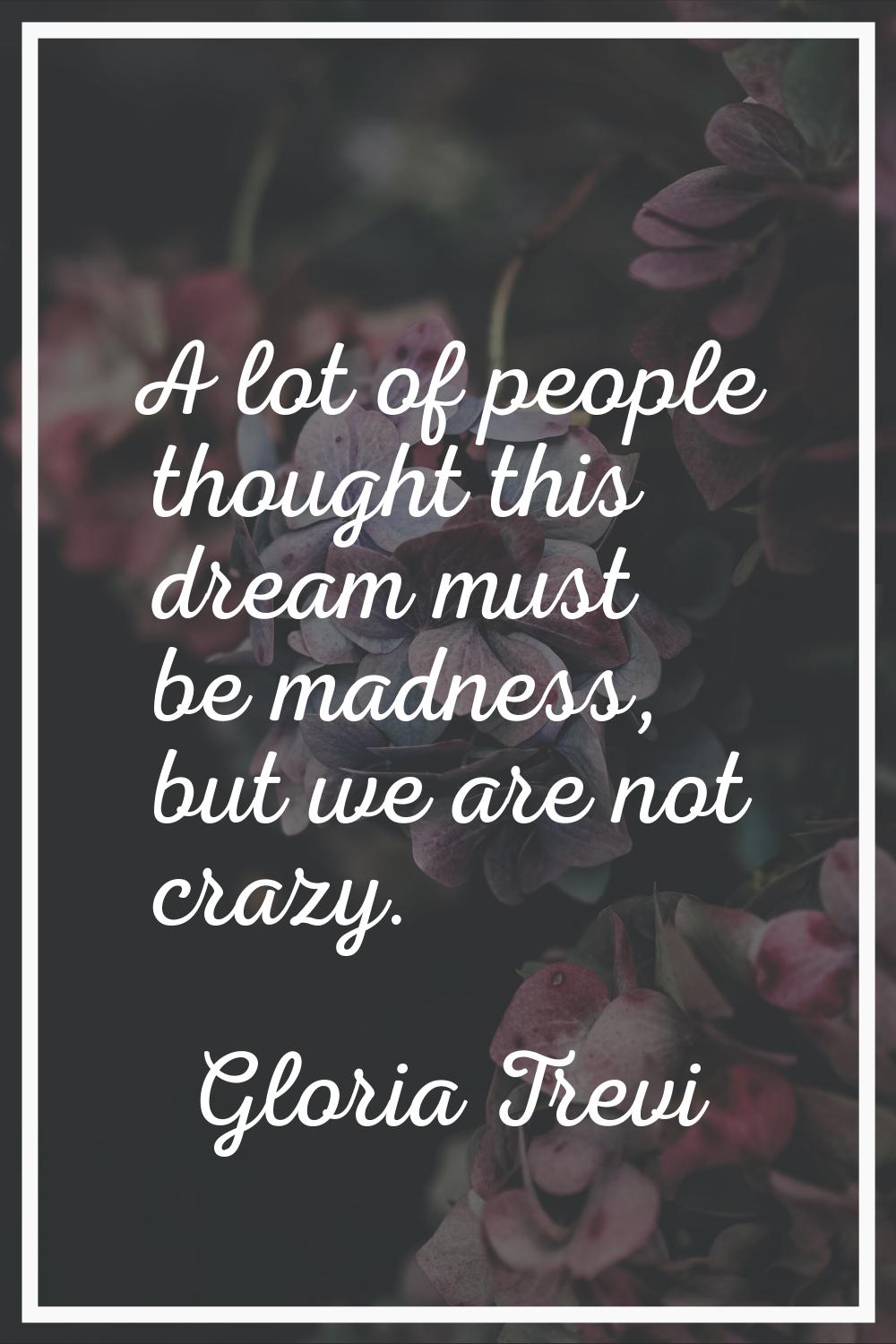 A lot of people thought this dream must be madness, but we are not crazy.