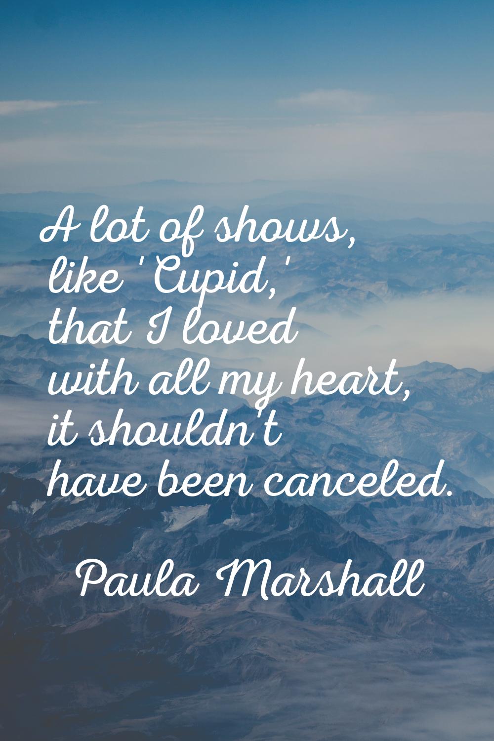 A lot of shows, like 'Cupid,' that I loved with all my heart, it shouldn't have been canceled.