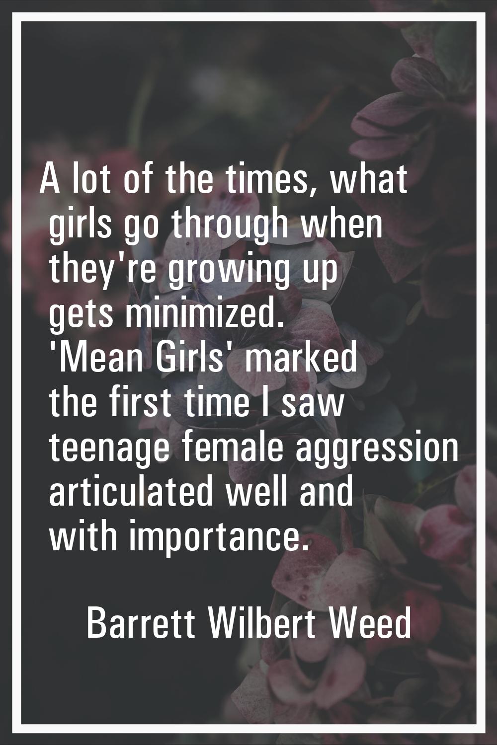 A lot of the times, what girls go through when they're growing up gets minimized. 'Mean Girls' mark