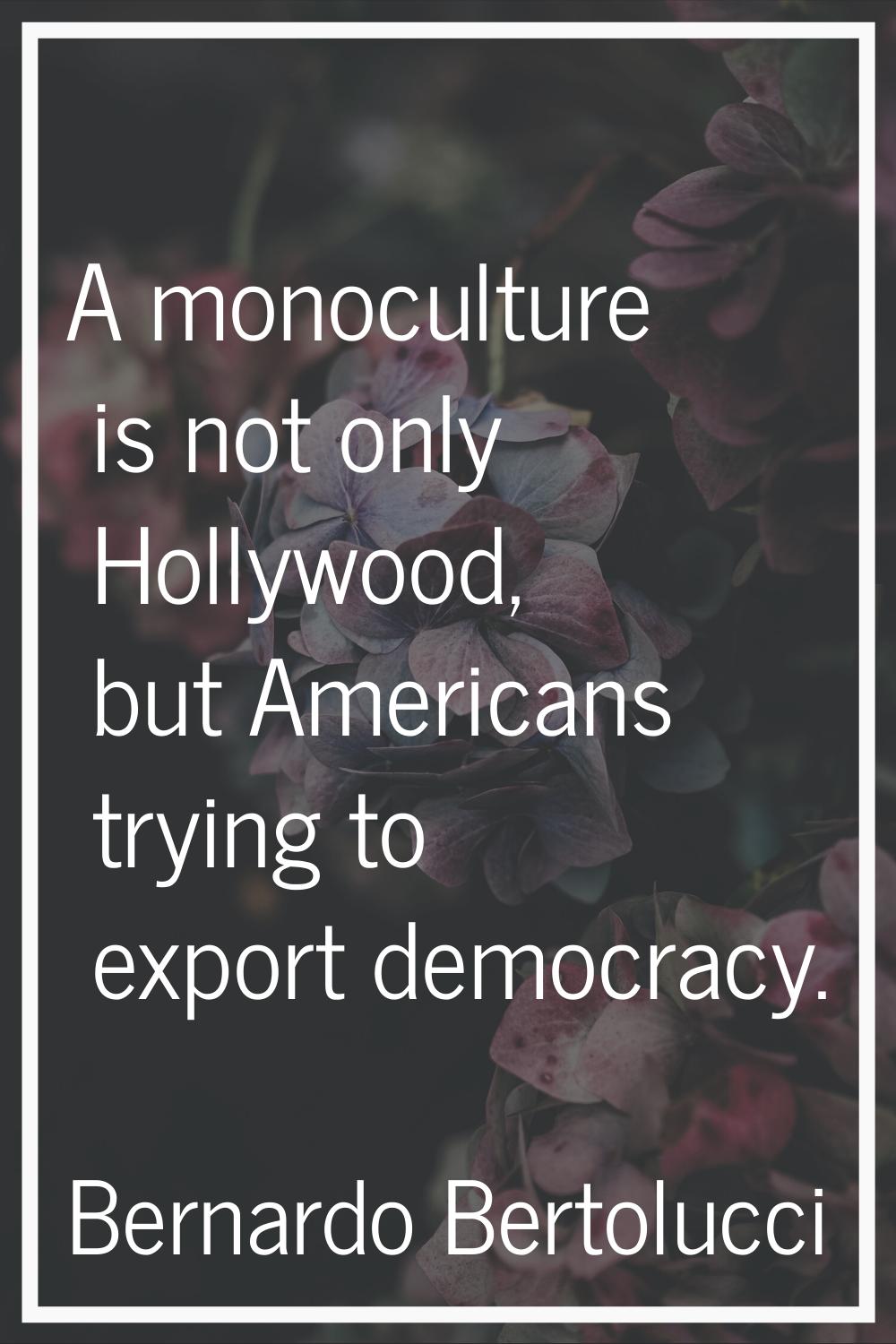 A monoculture is not only Hollywood, but Americans trying to export democracy.
