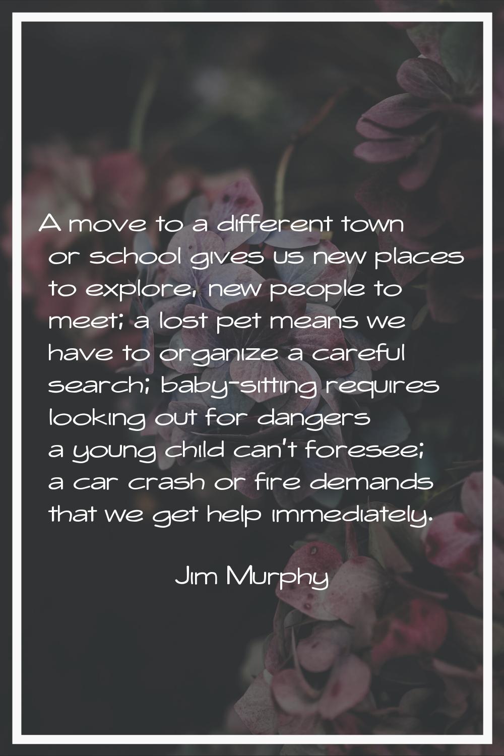 A move to a different town or school gives us new places to explore, new people to meet; a lost pet