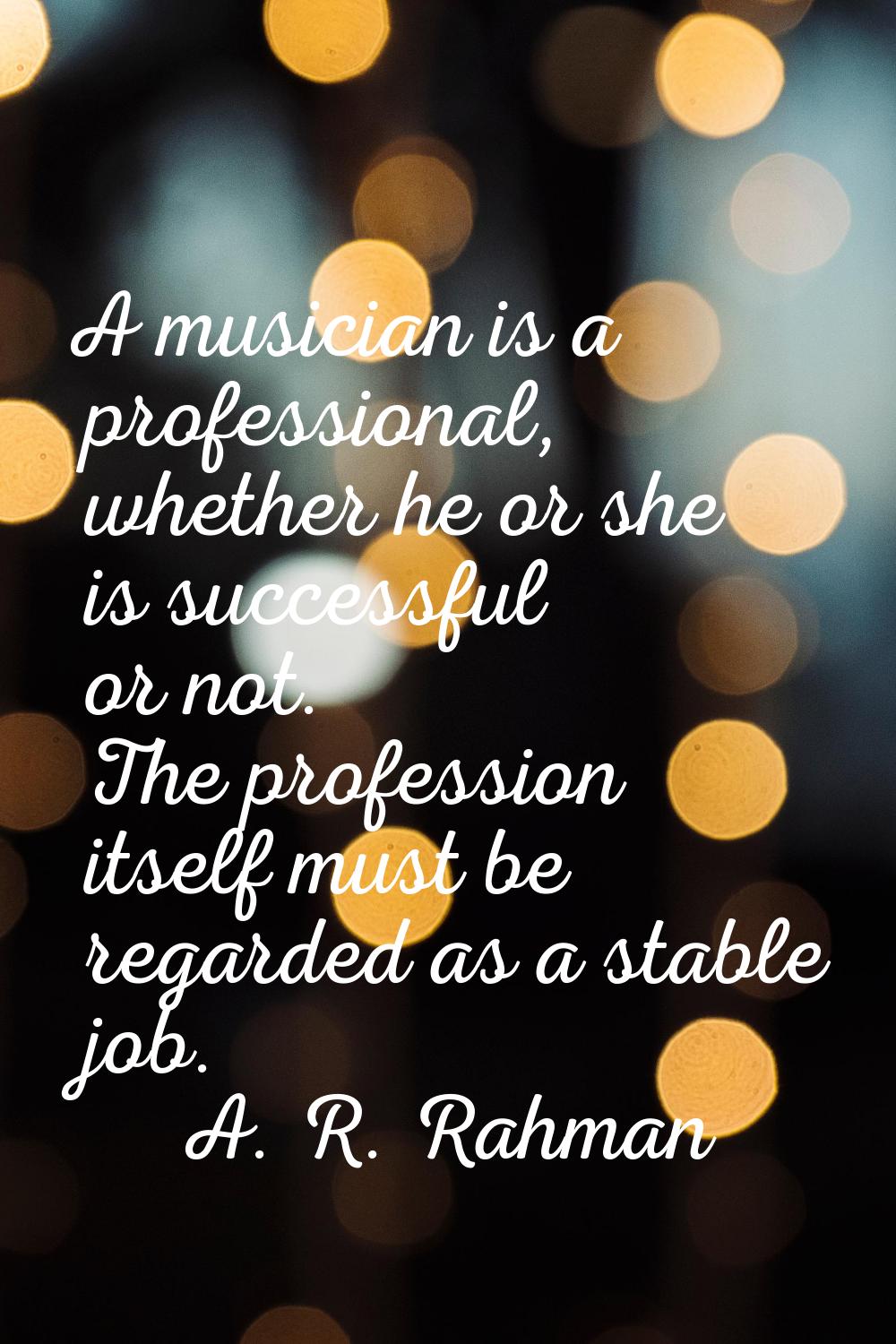 A musician is a professional, whether he or she is successful or not. The profession itself must be