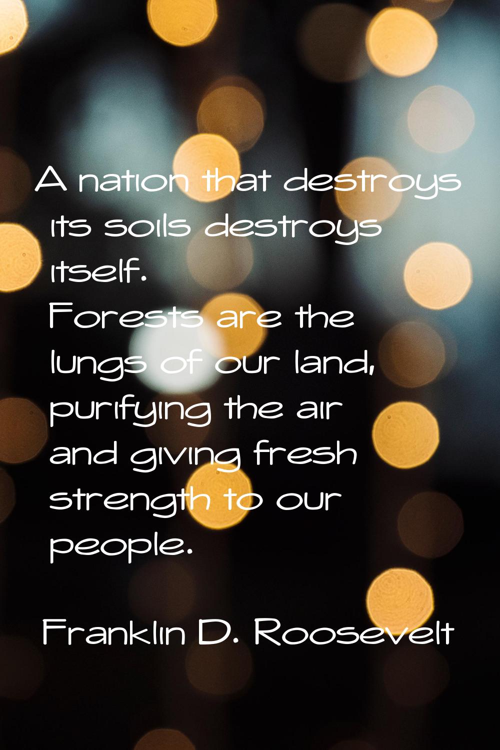 A nation that destroys its soils destroys itself. Forests are the lungs of our land, purifying the 