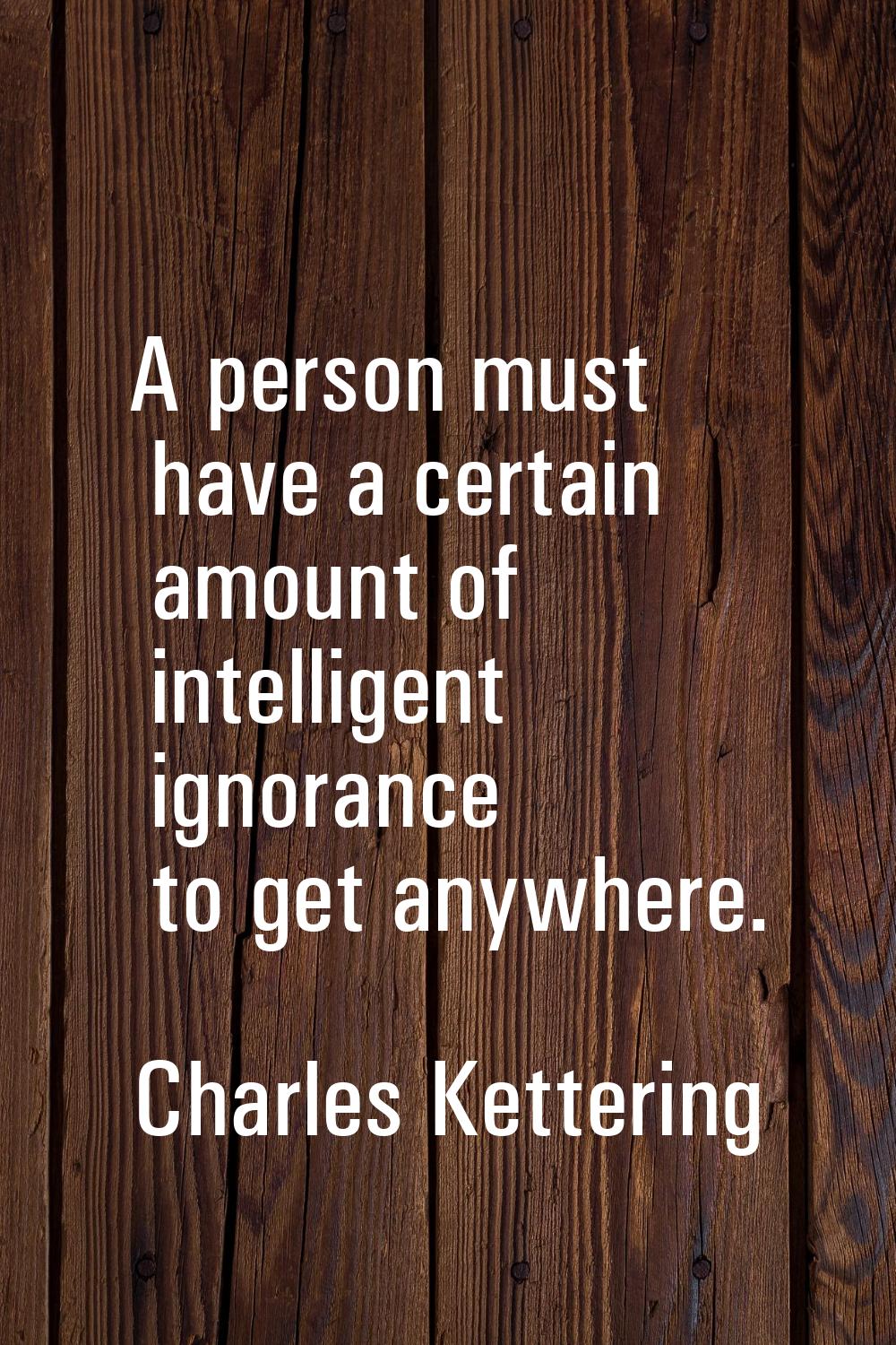 A person must have a certain amount of intelligent ignorance to get anywhere.