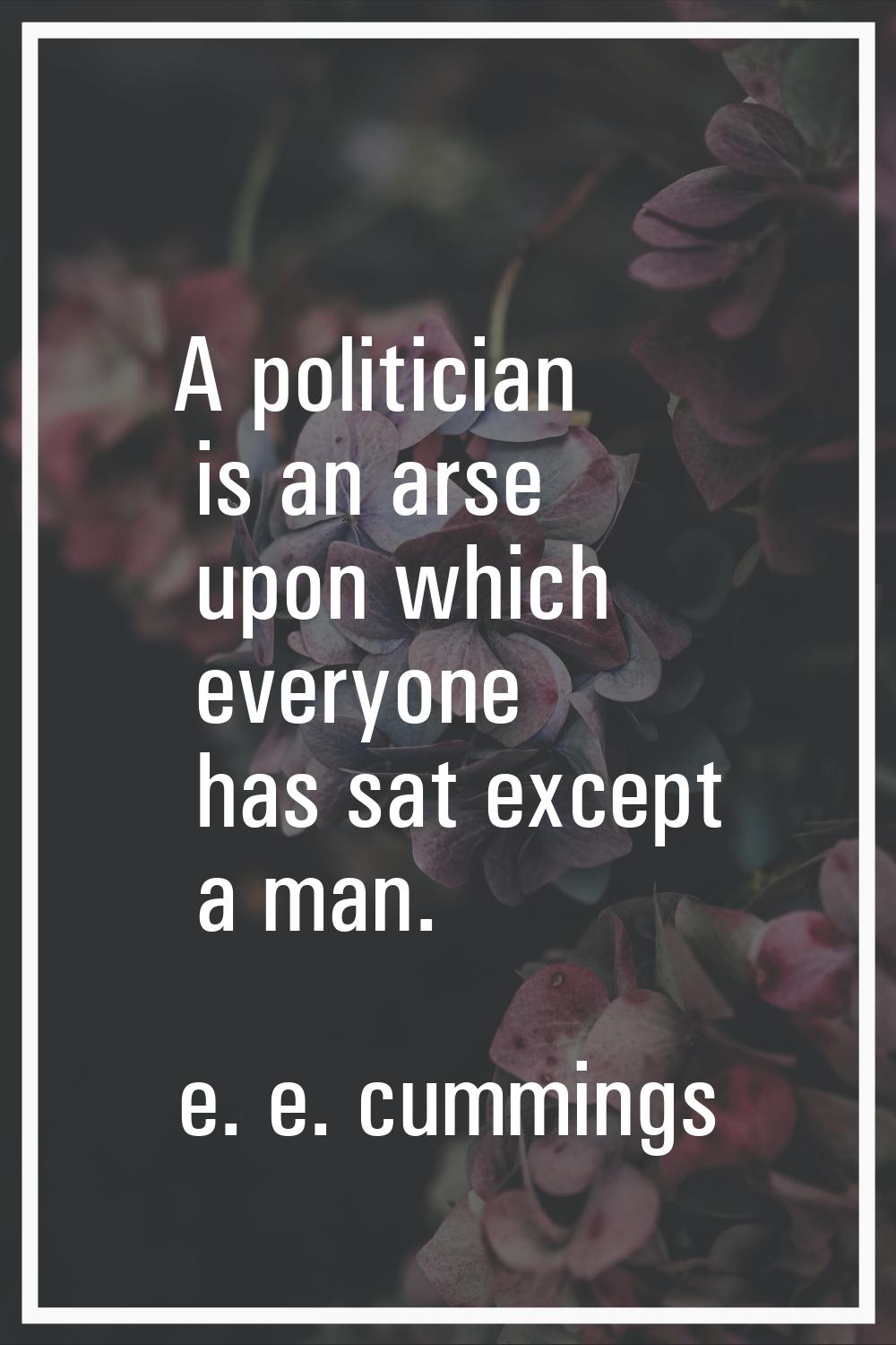 A politician is an arse upon which everyone has sat except a man.