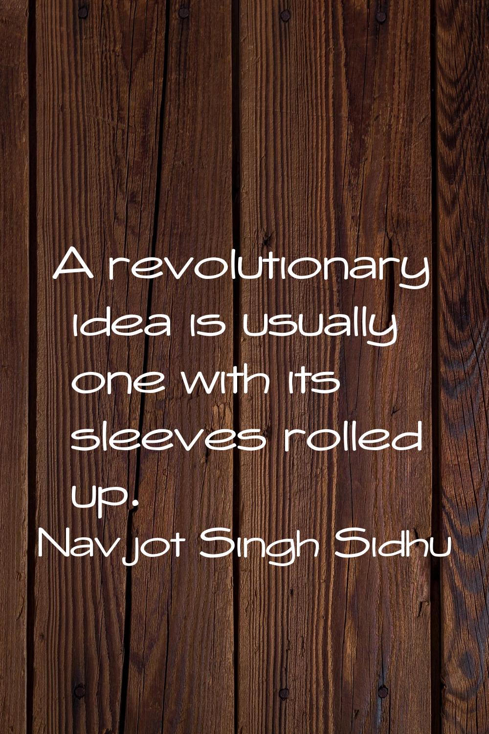A revolutionary idea is usually one with its sleeves rolled up.