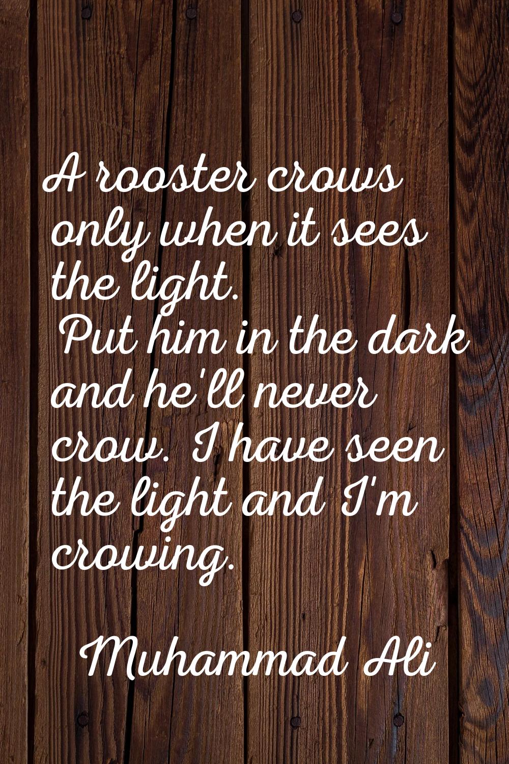 A rooster crows only when it sees the light. Put him in the dark and he'll never crow. I have seen 