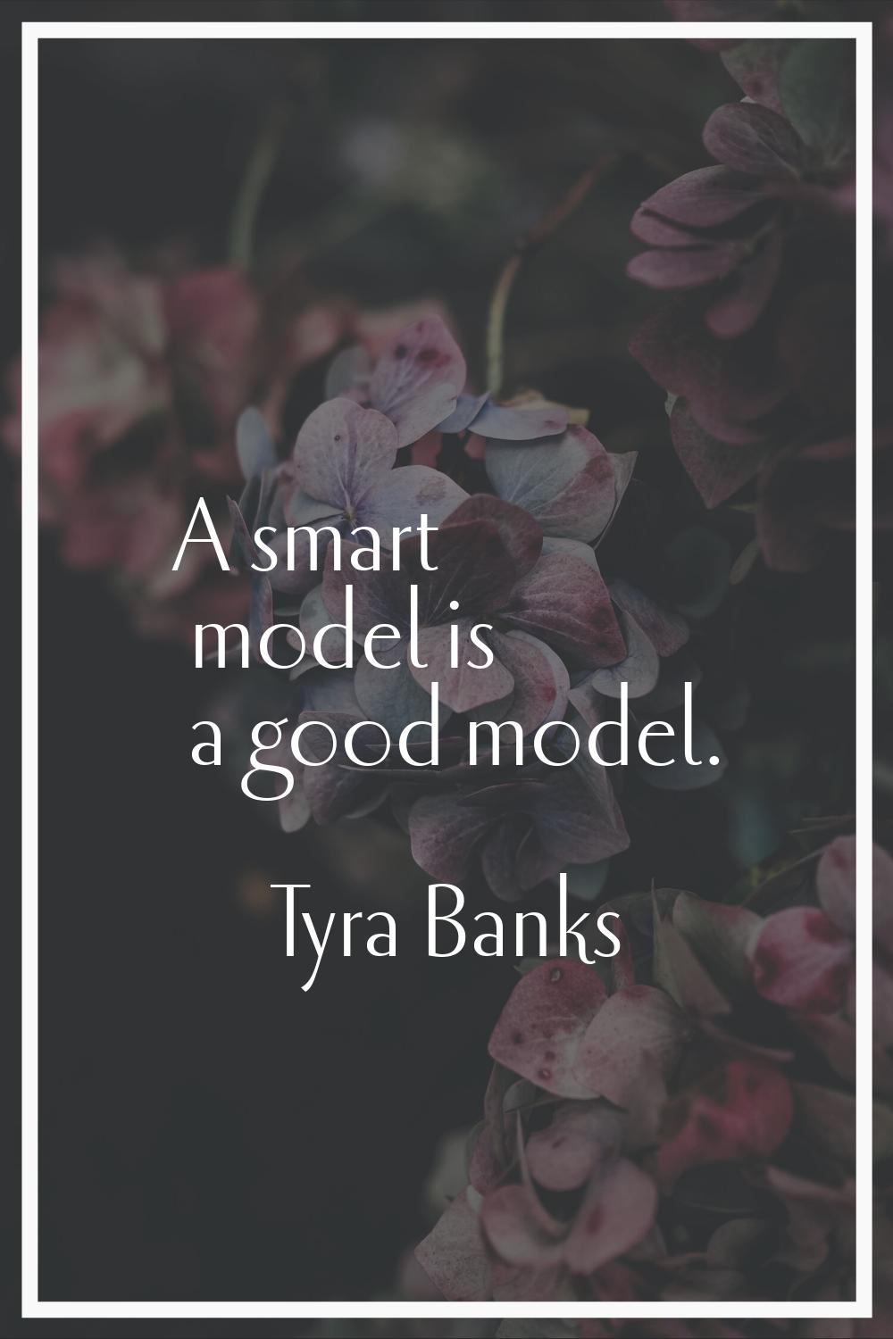 A smart model is a good model.