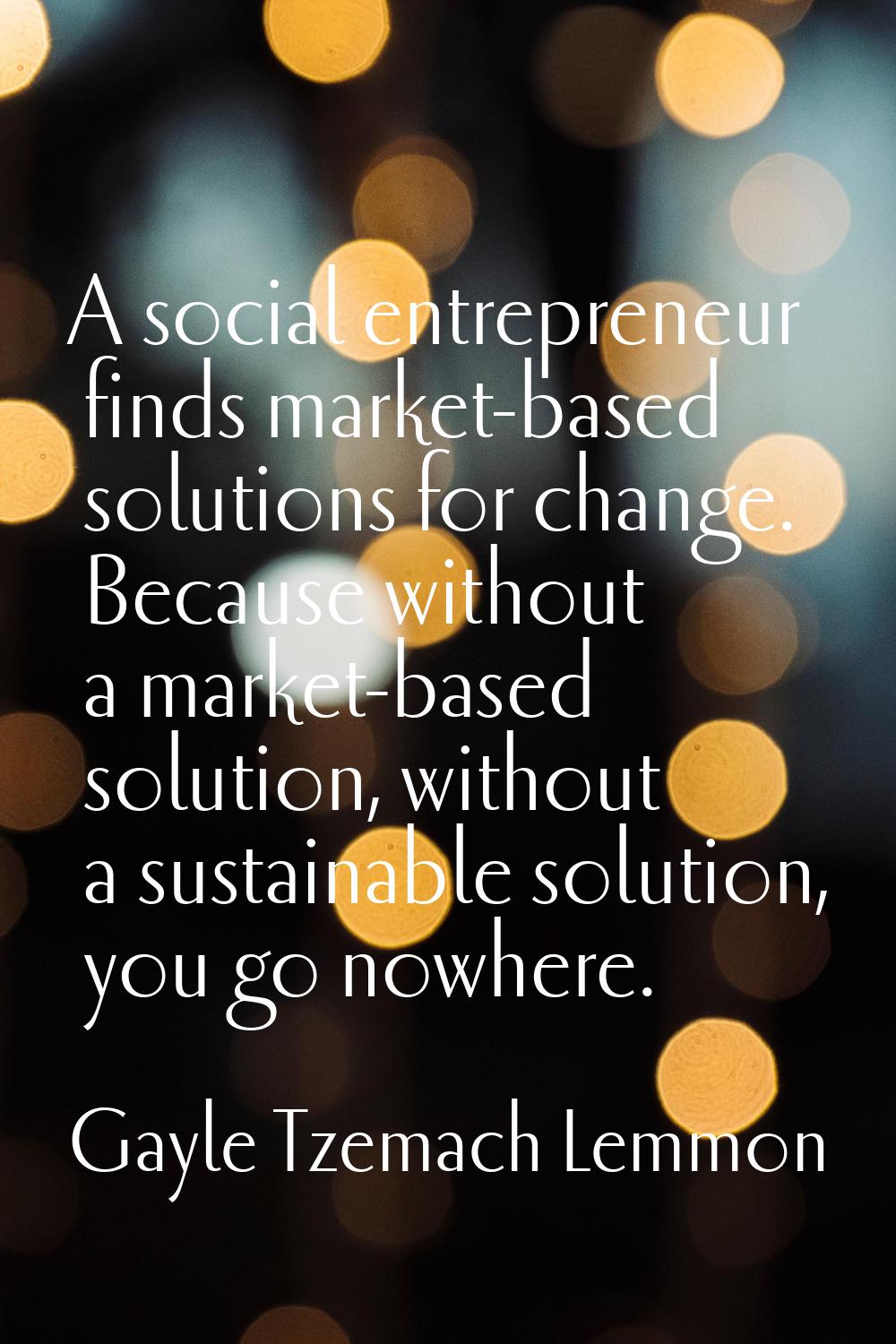 A social entrepreneur finds market-based solutions for change. Because without a market-based solut