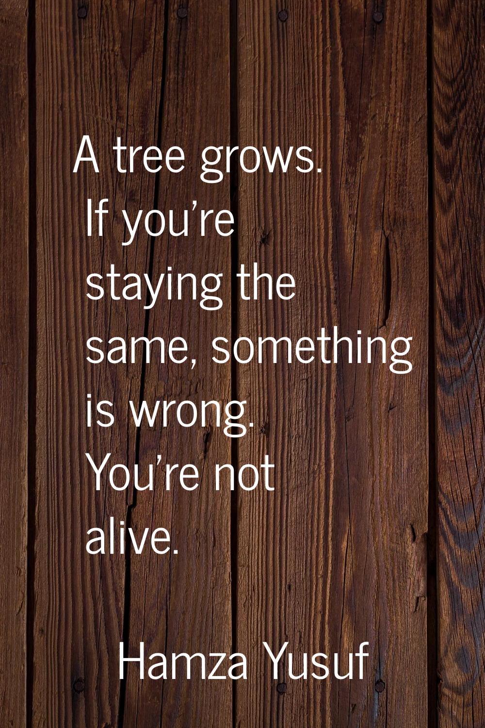 A tree grows. If you're staying the same, something is wrong. You're not alive.