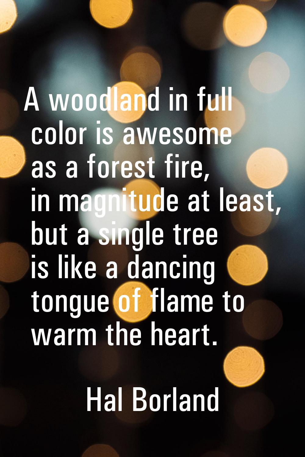 A woodland in full color is awesome as a forest fire, in magnitude at least, but a single tree is l