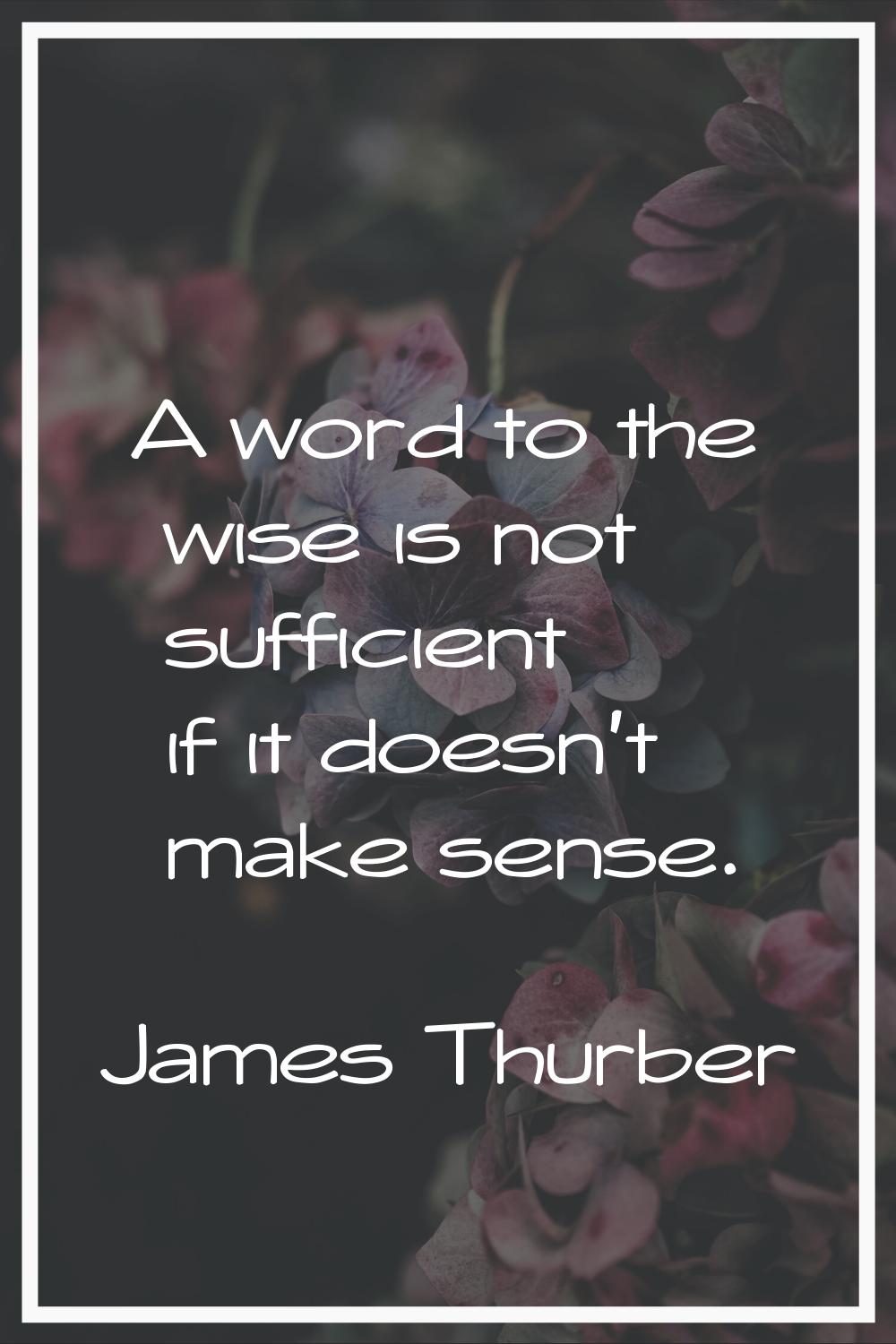 A word to the wise is not sufficient if it doesn't make sense.