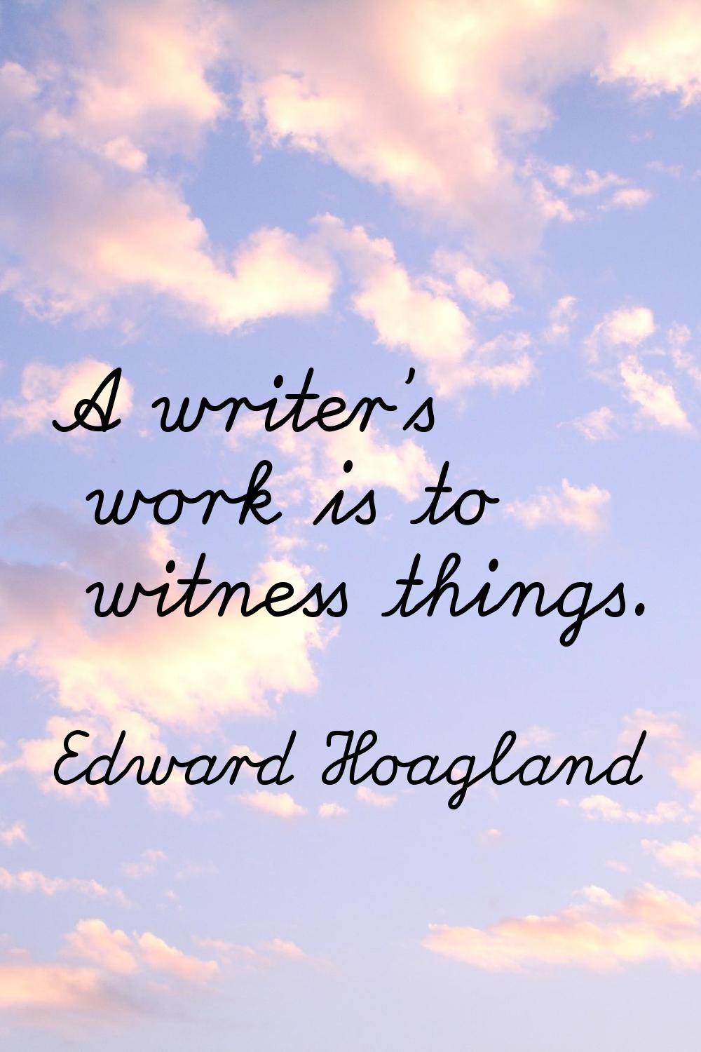 A writer's work is to witness things.