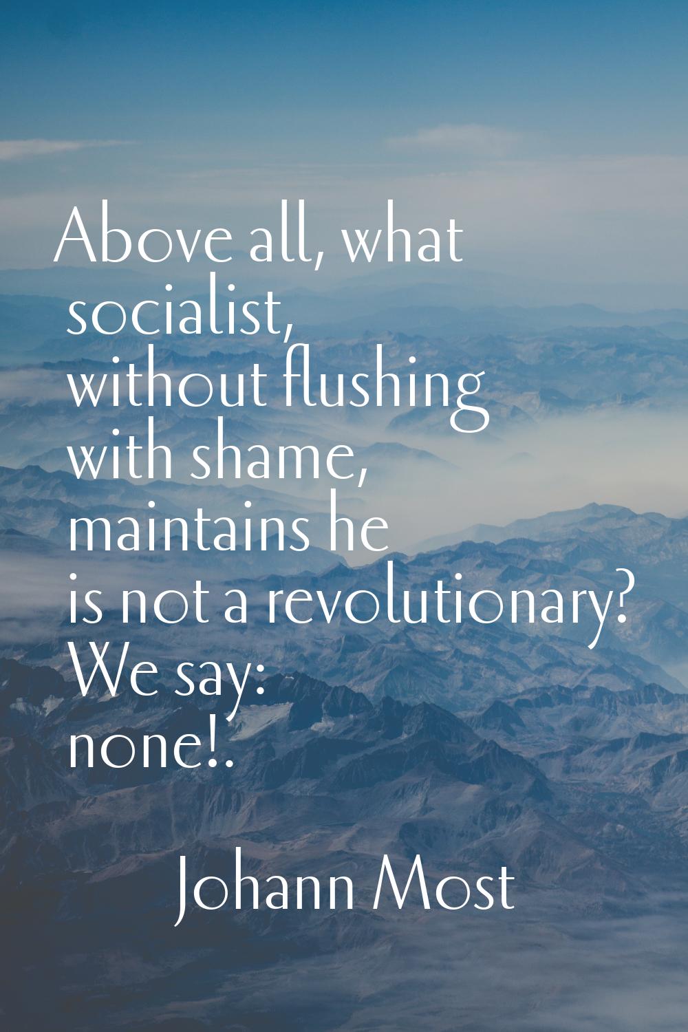 Above all, what socialist, without flushing with shame, maintains he is not a revolutionary? We say