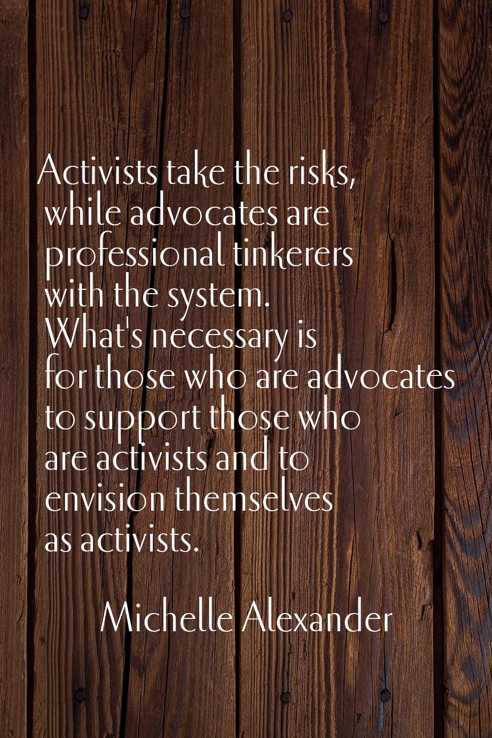 Activists take the risks, while advocates are professional tinkerers with the system. What's necess