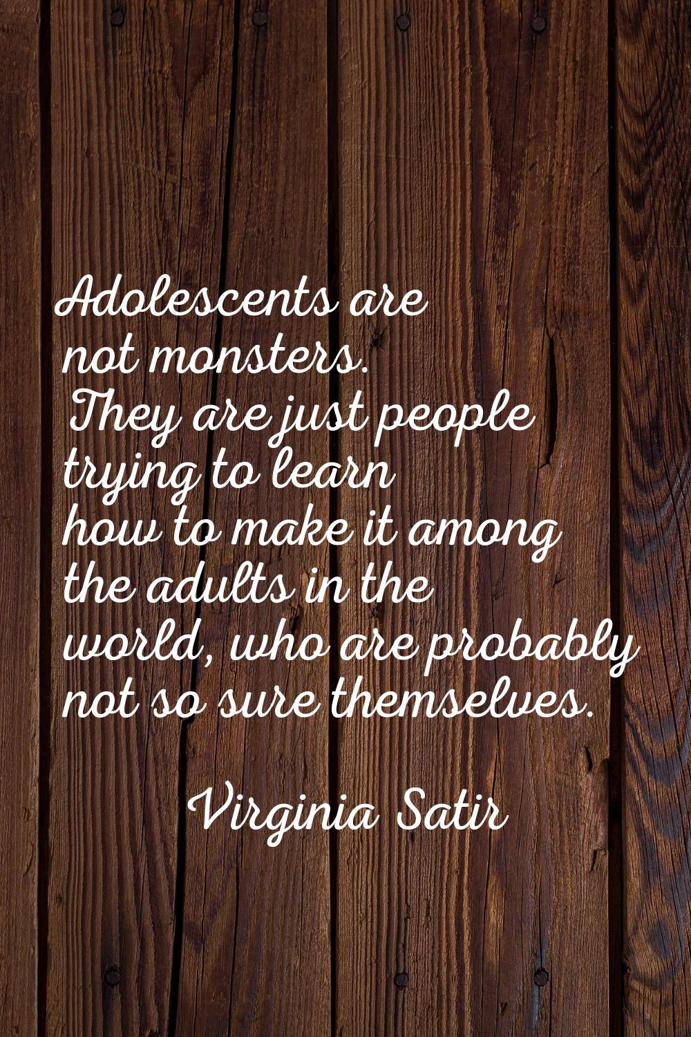 Adolescents are not monsters. They are just people trying to learn how to make it among the adults 
