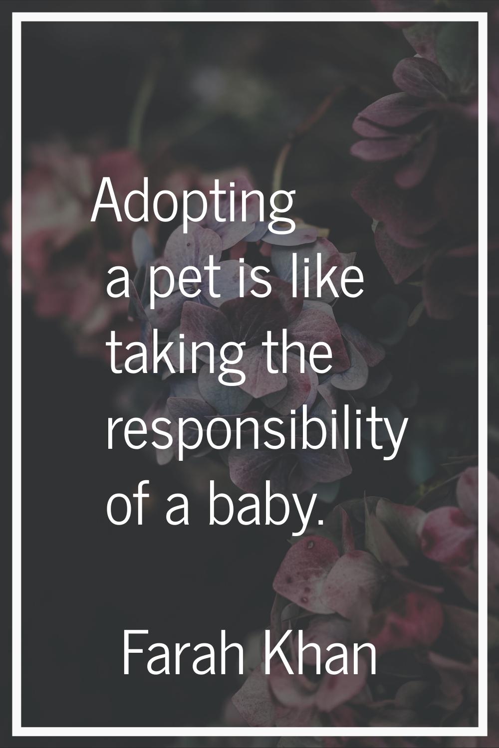 Adopting a pet is like taking the responsibility of a baby.