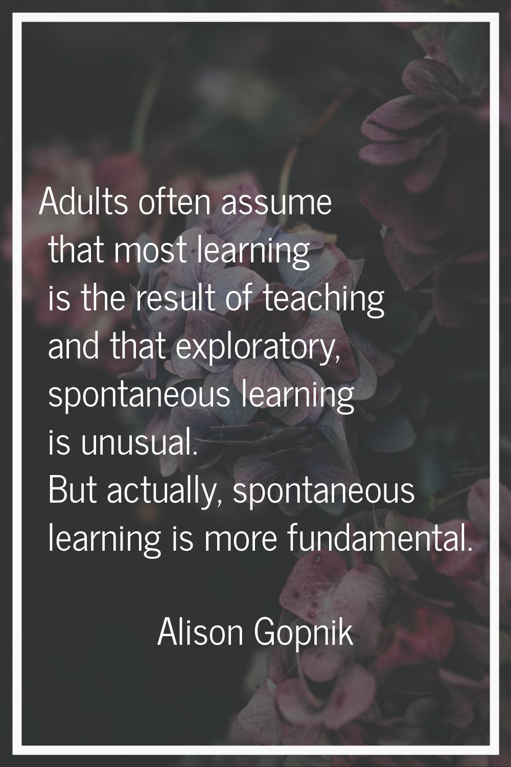 Adults often assume that most learning is the result of teaching and that exploratory, spontaneous 