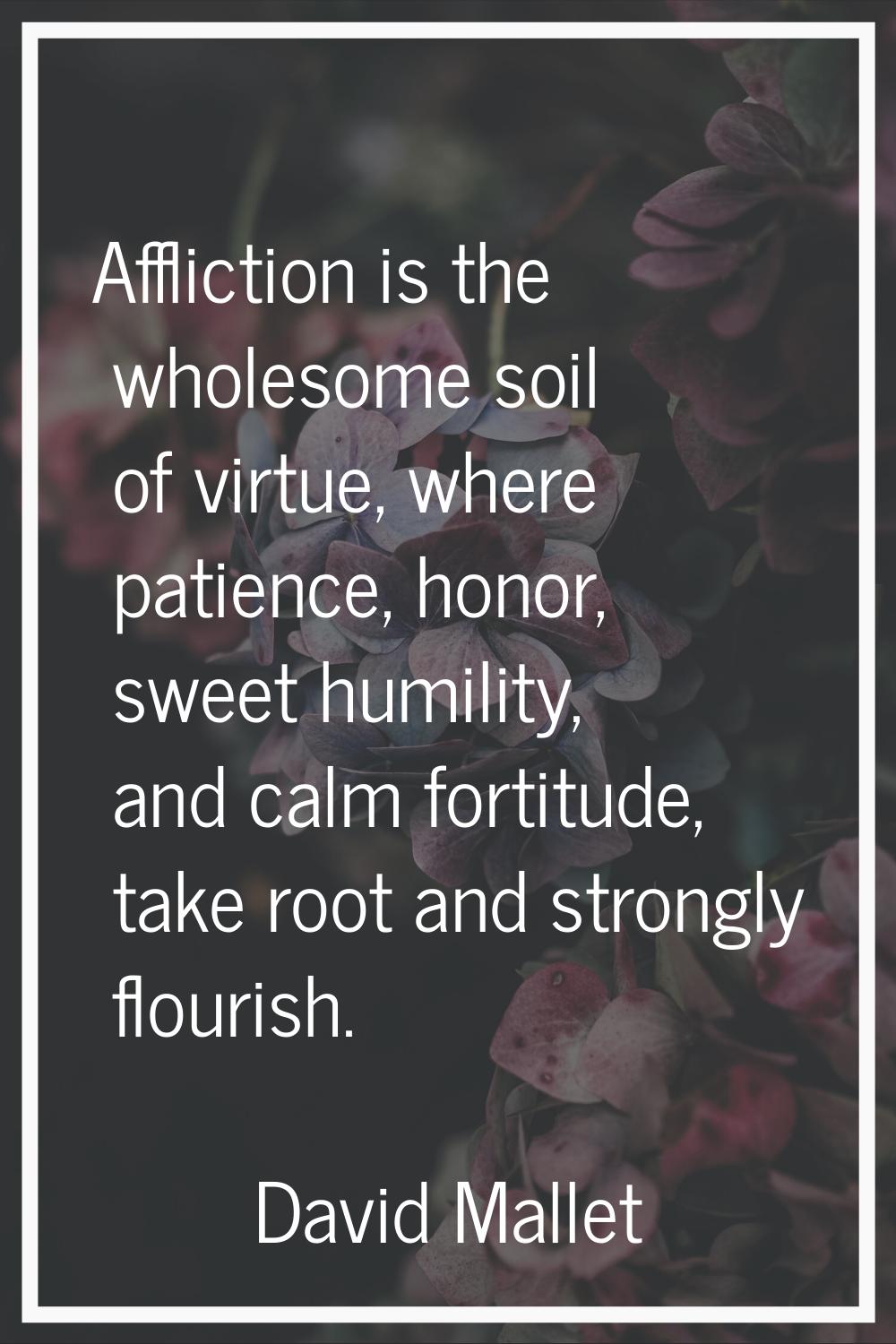 Affliction is the wholesome soil of virtue, where patience, honor, sweet humility, and calm fortitu