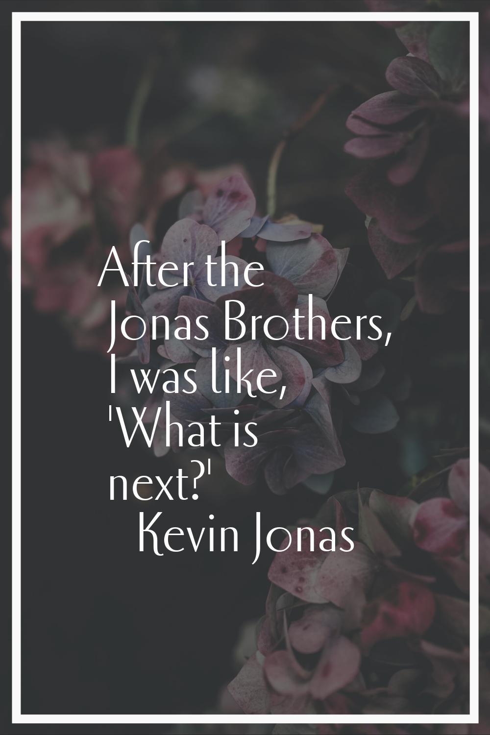 After the Jonas Brothers, I was like, 'What is next?'