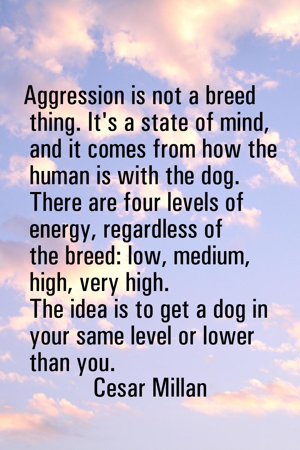 Aggression is not a breed thing. It's a state of mind, and it comes from how the human is with the 