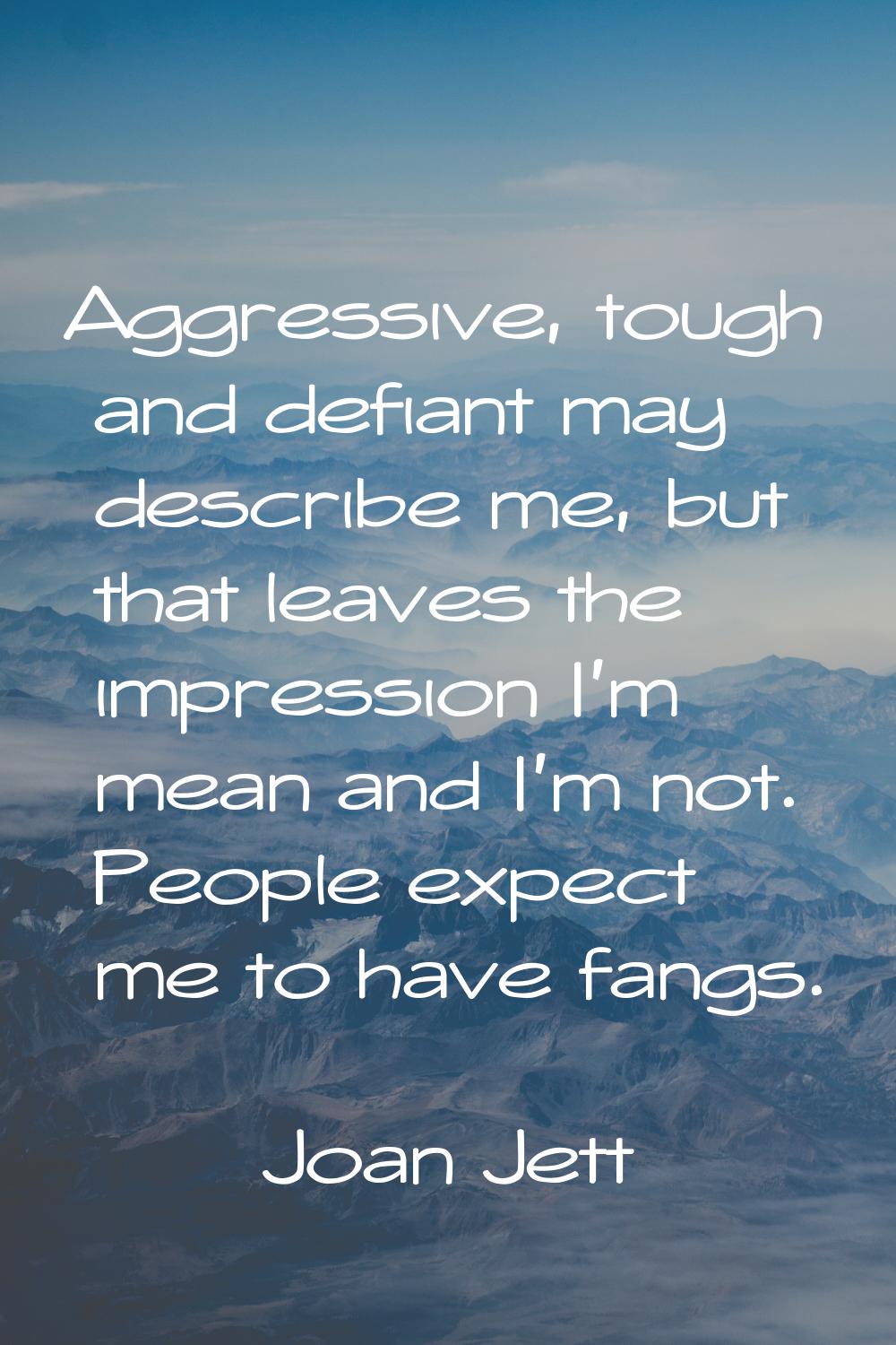 Aggressive, tough and defiant may describe me, but that leaves the impression I'm mean and I'm not.