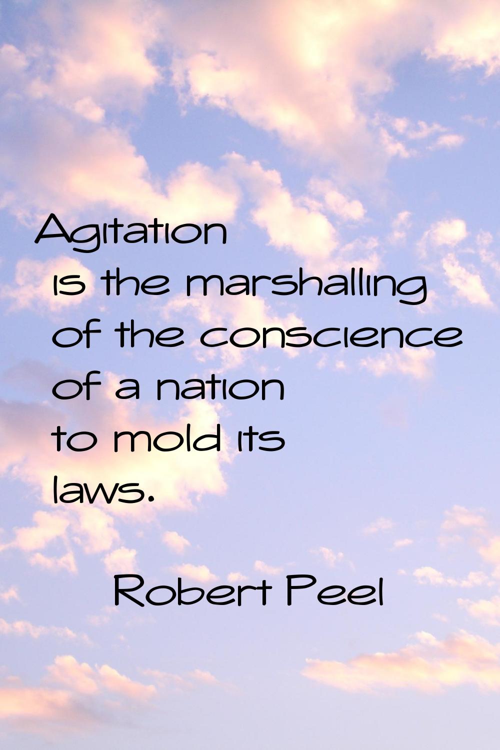 Agitation is the marshalling of the conscience of a nation to mold its laws.