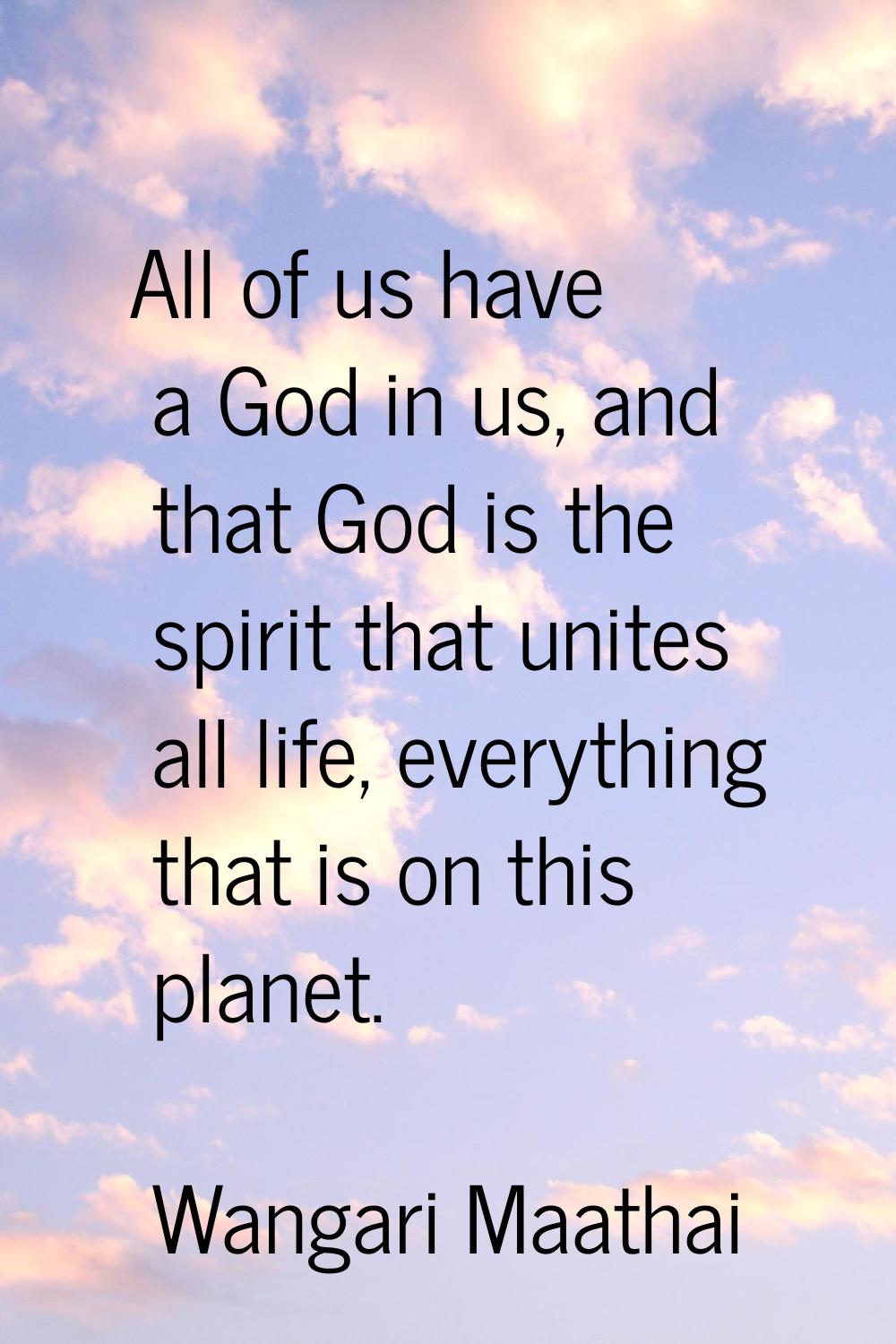 All of us have a God in us, and that God is the spirit that unites all life, everything that is on 