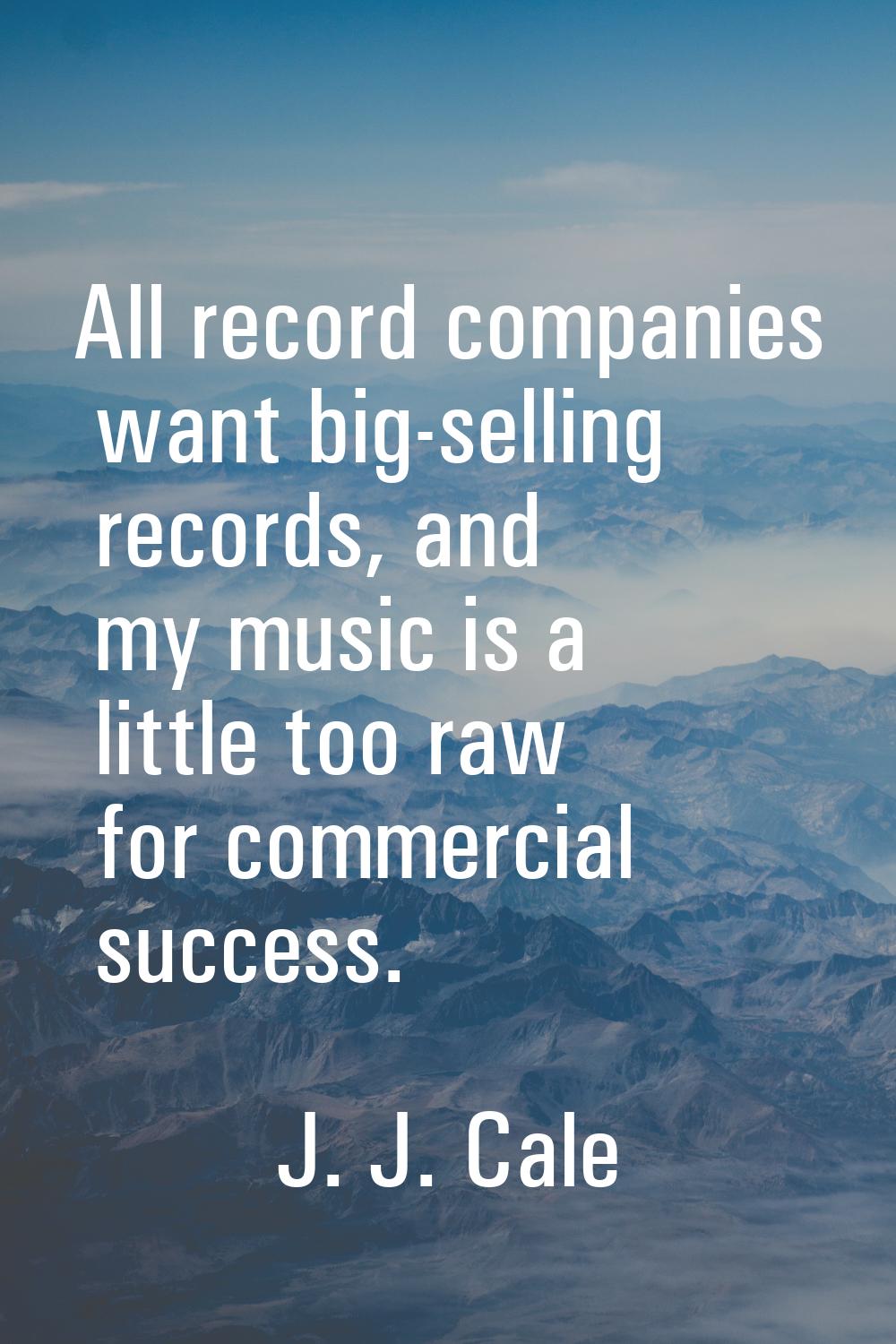 All record companies want big-selling records, and my music is a little too raw for commercial succ