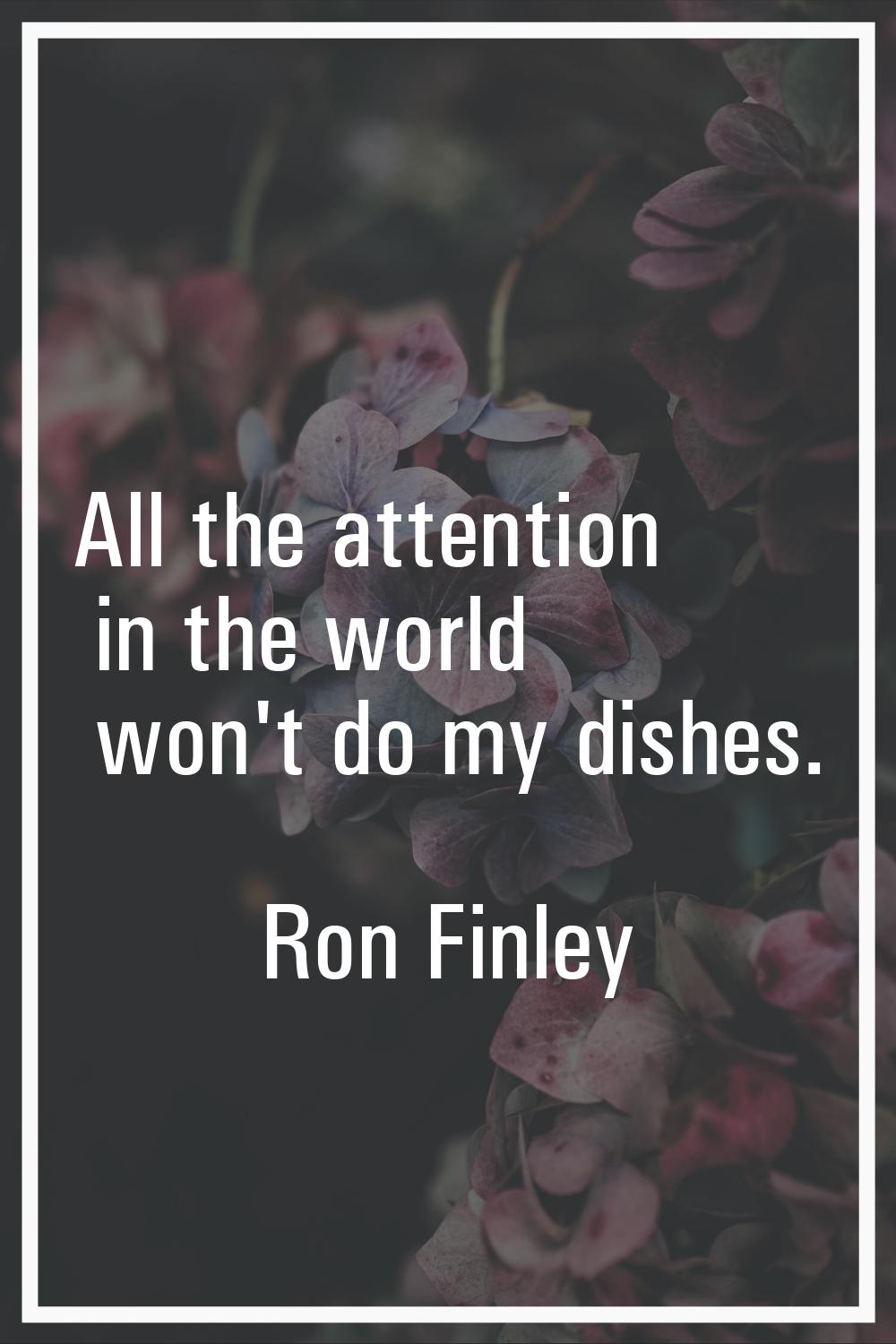 All the attention in the world won't do my dishes.