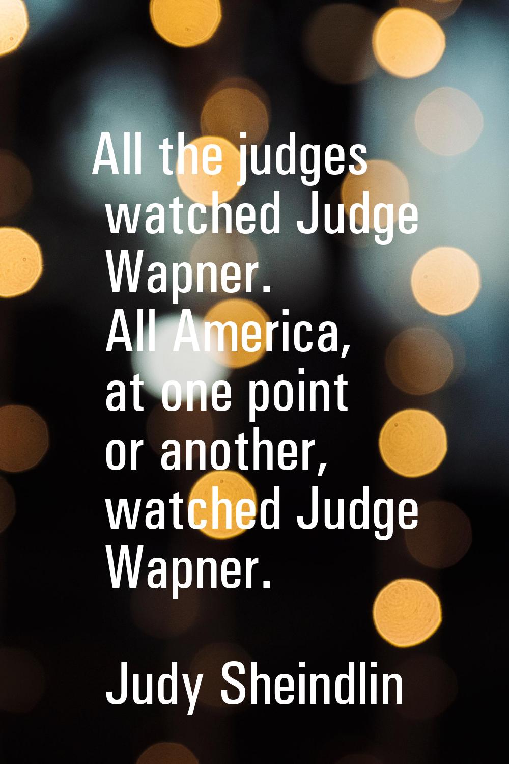 All the judges watched Judge Wapner. All America, at one point or another, watched Judge Wapner.