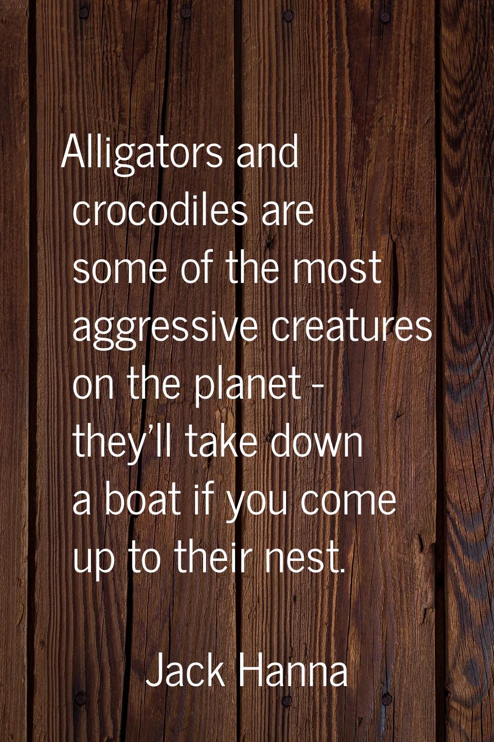 Alligators and crocodiles are some of the most aggressive creatures on the planet - they'll take do