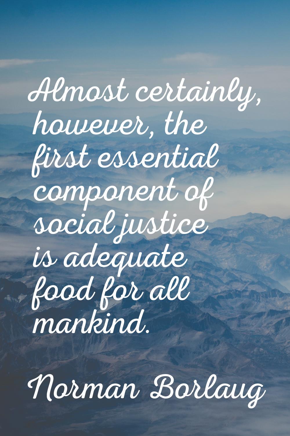 Almost certainly, however, the first essential component of social justice is adequate food for all