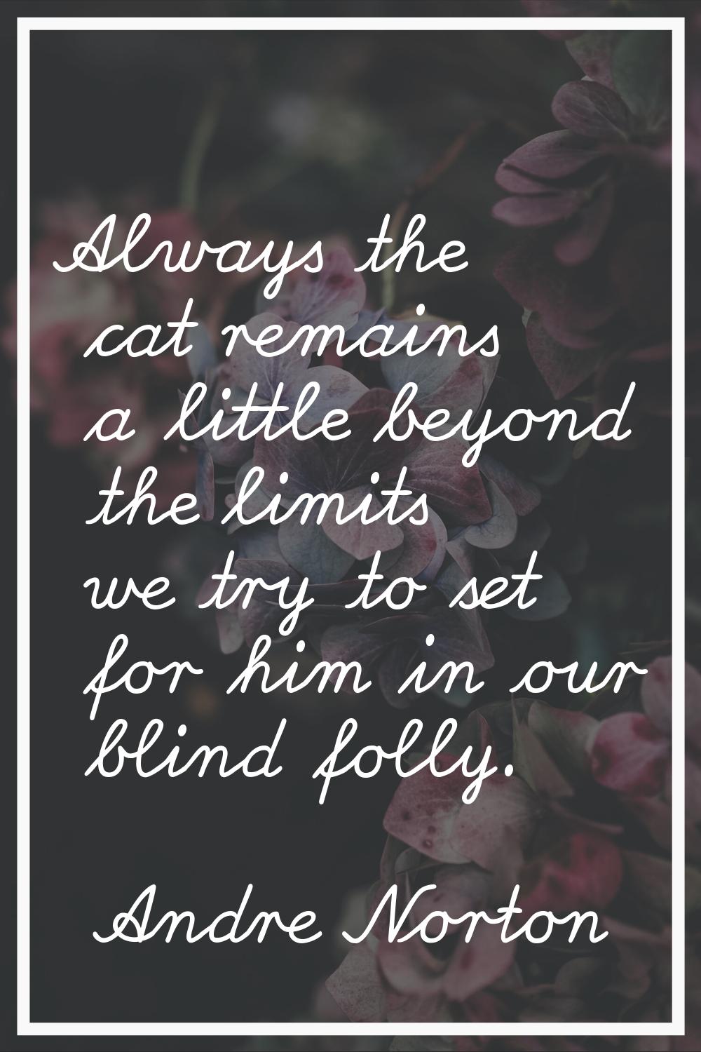 Always the cat remains a little beyond the limits we try to set for him in our blind folly.
