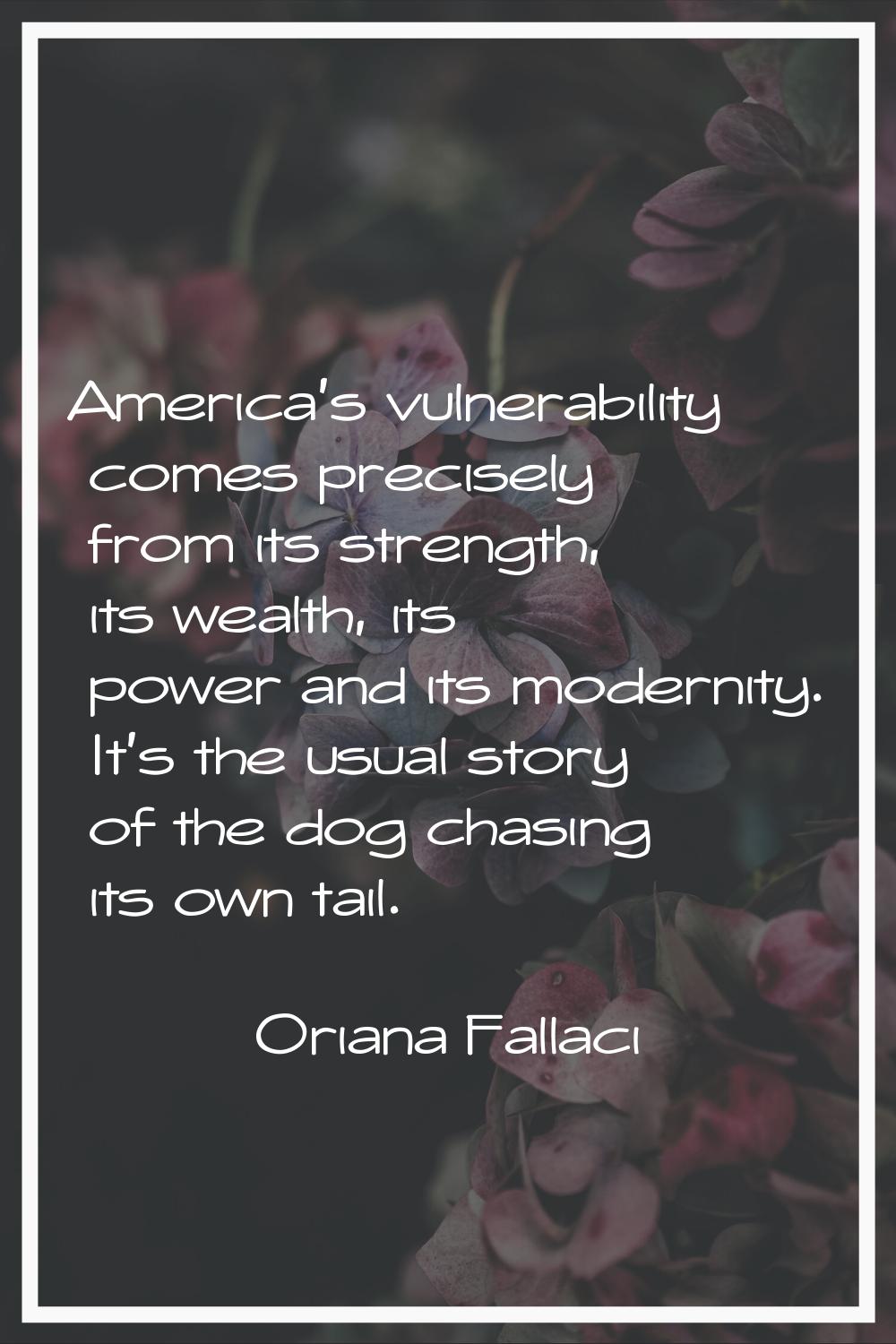 America's vulnerability comes precisely from its strength, its wealth, its power and its modernity.