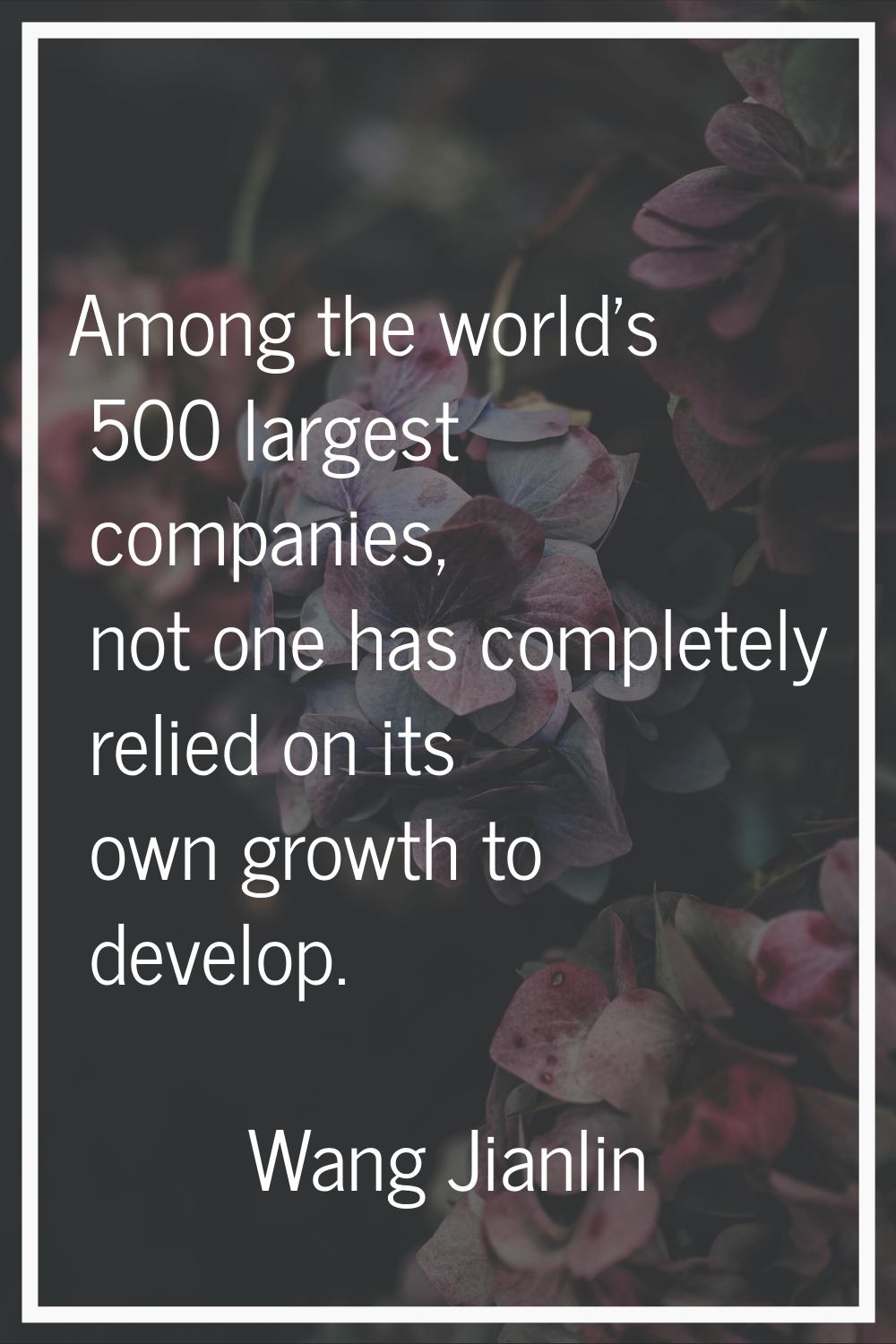 Among the world's 500 largest companies, not one has completely relied on its own growth to develop