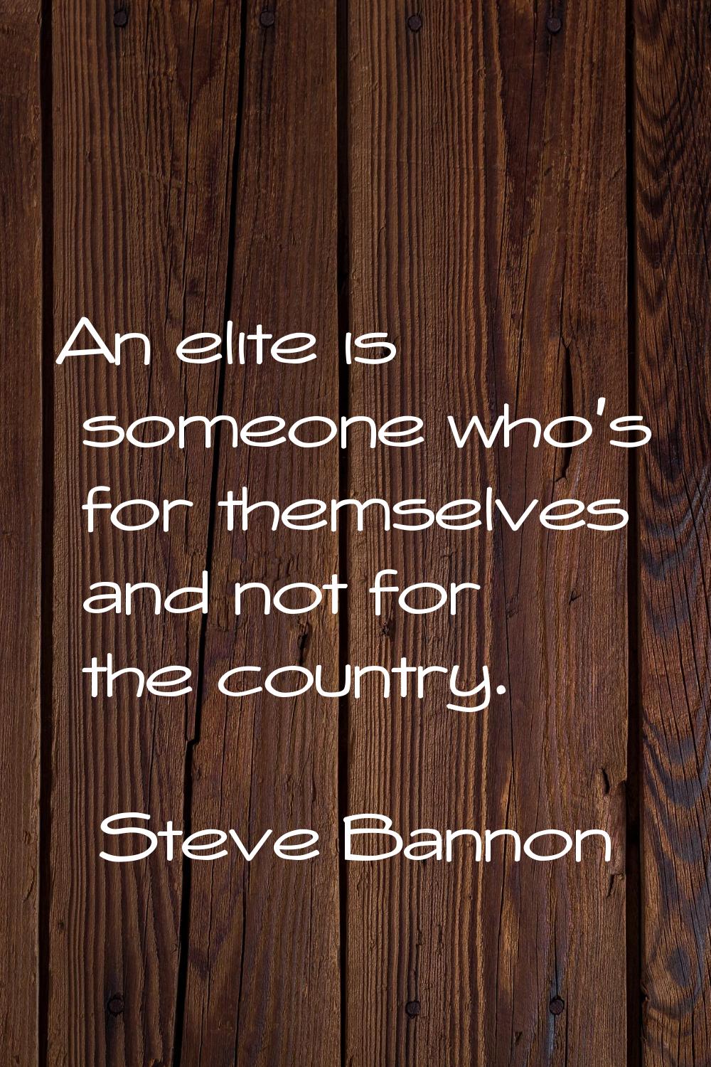 An elite is someone who's for themselves and not for the country.