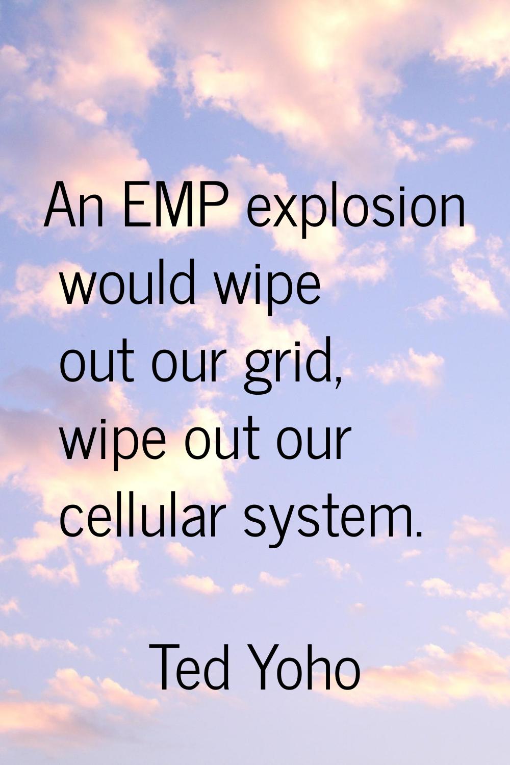 An EMP explosion would wipe out our grid, wipe out our cellular system.
