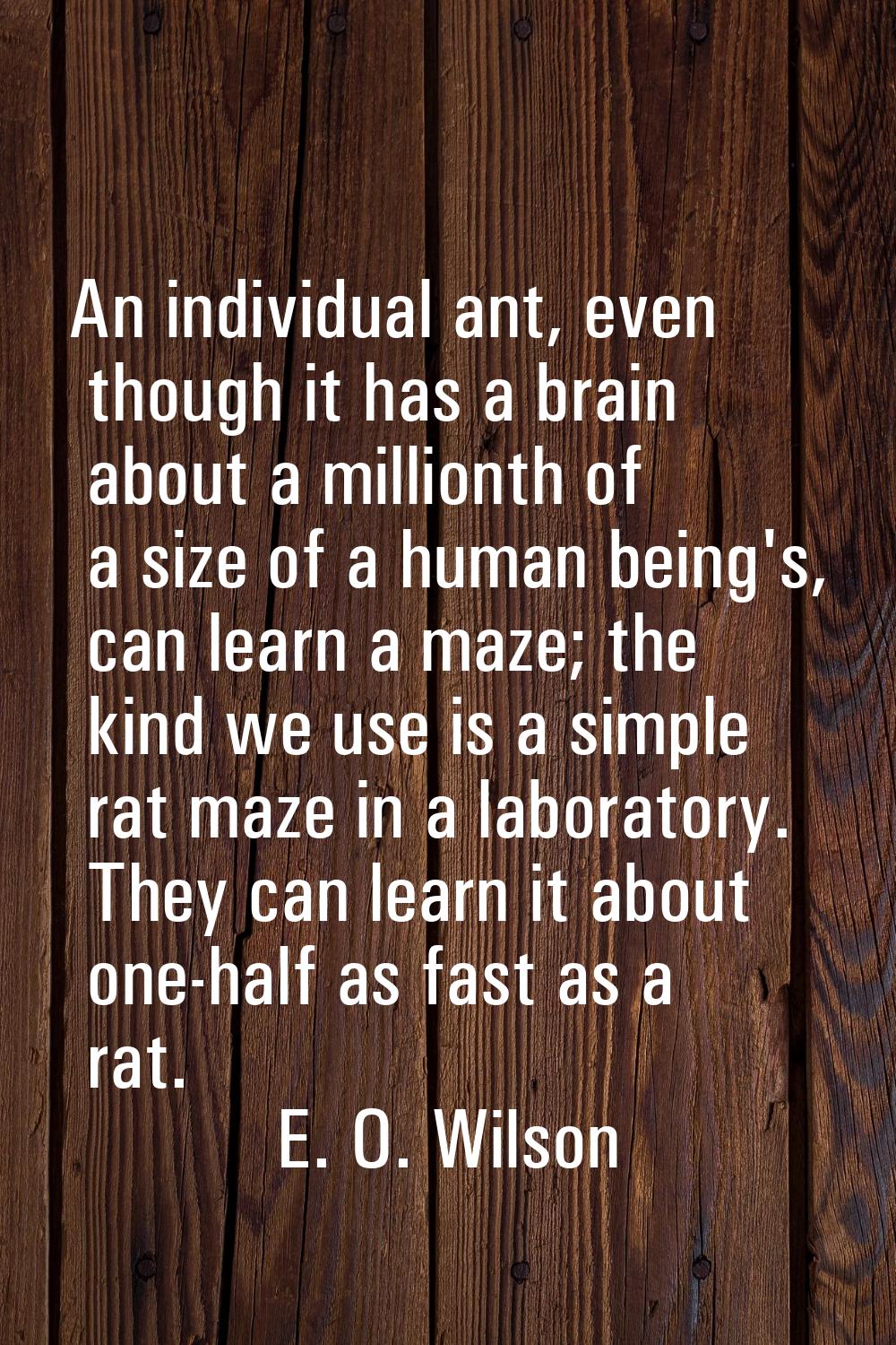 An individual ant, even though it has a brain about a millionth of a size of a human being's, can l