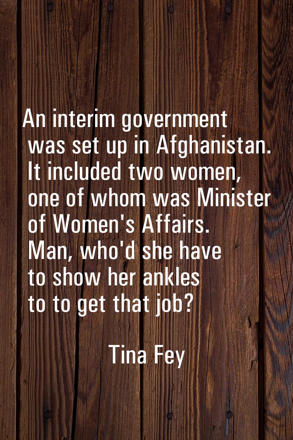 An interim government was set up in Afghanistan. It included two women, one of whom was Minister of