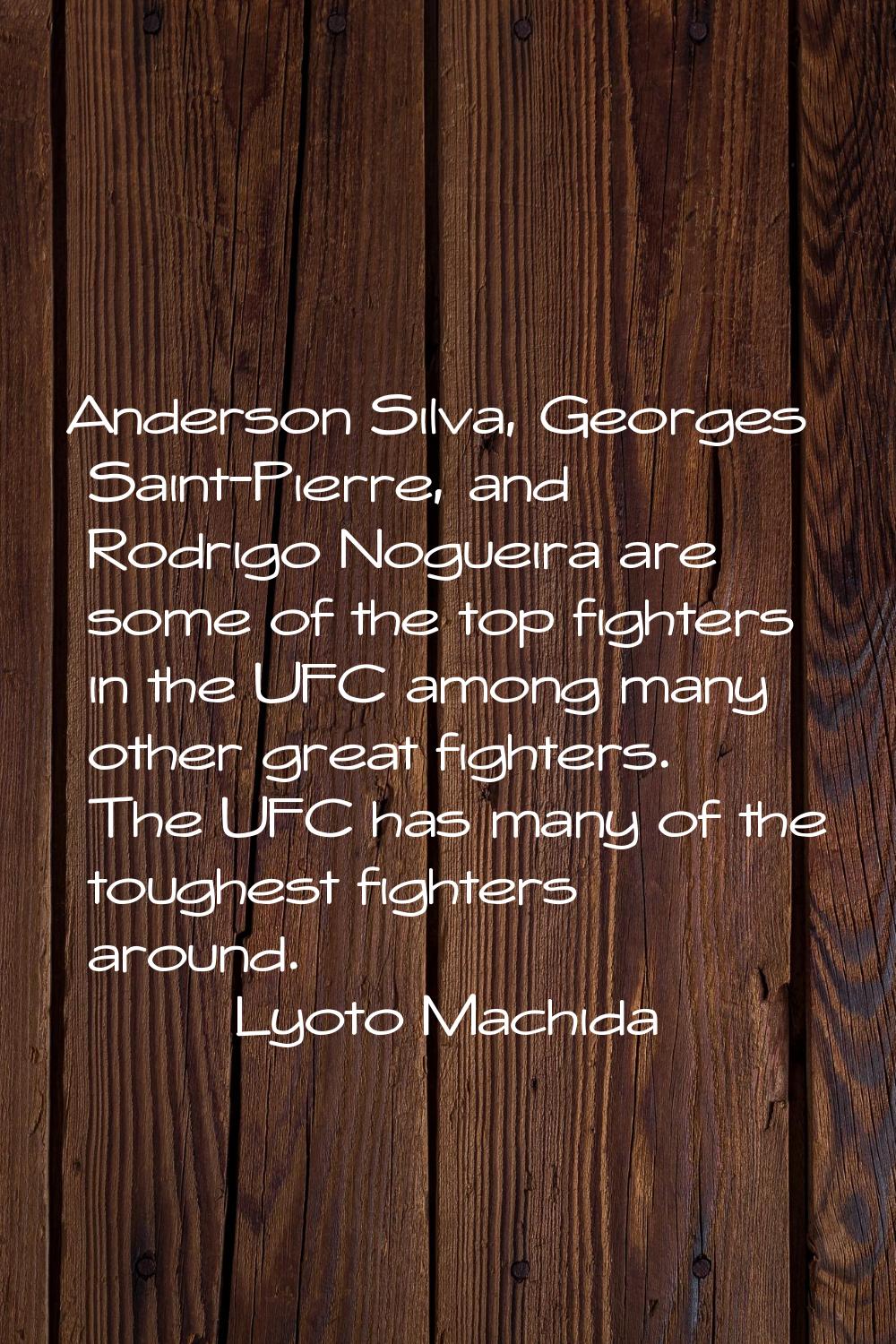 Anderson Silva, Georges Saint-Pierre, and Rodrigo Nogueira are some of the top fighters in the UFC 