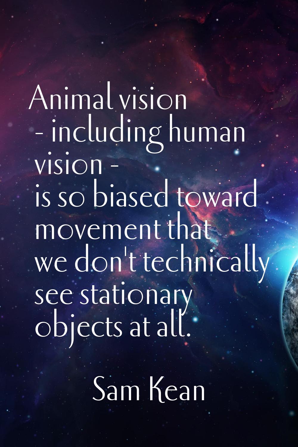 Animal vision - including human vision - is so biased toward movement that we don't technically see