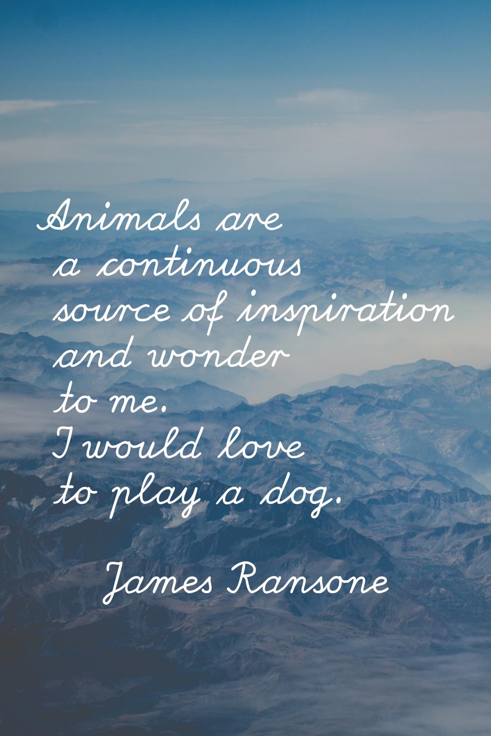 Animals are a continuous source of inspiration and wonder to me. I would love to play a dog.