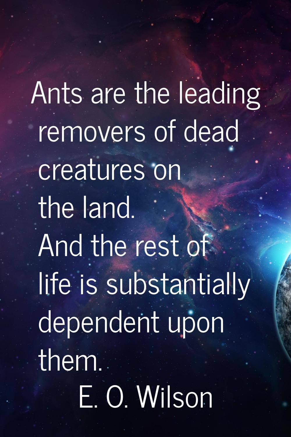 Ants are the leading removers of dead creatures on the land. And the rest of life is substantially 