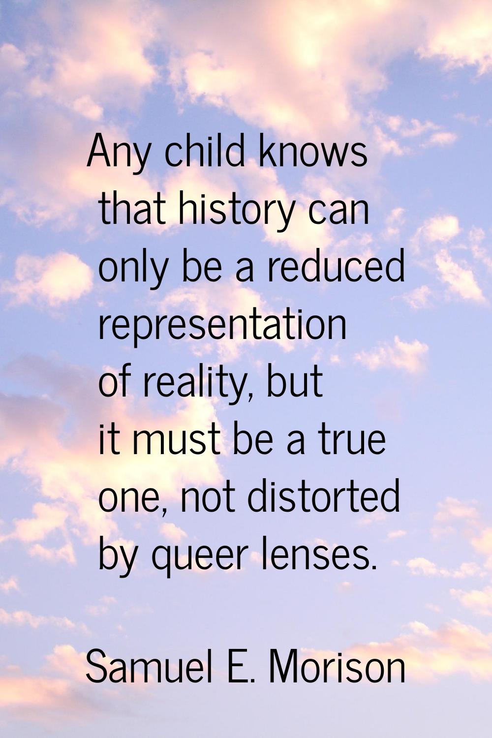 Any child knows that history can only be a reduced representation of reality, but it must be a true